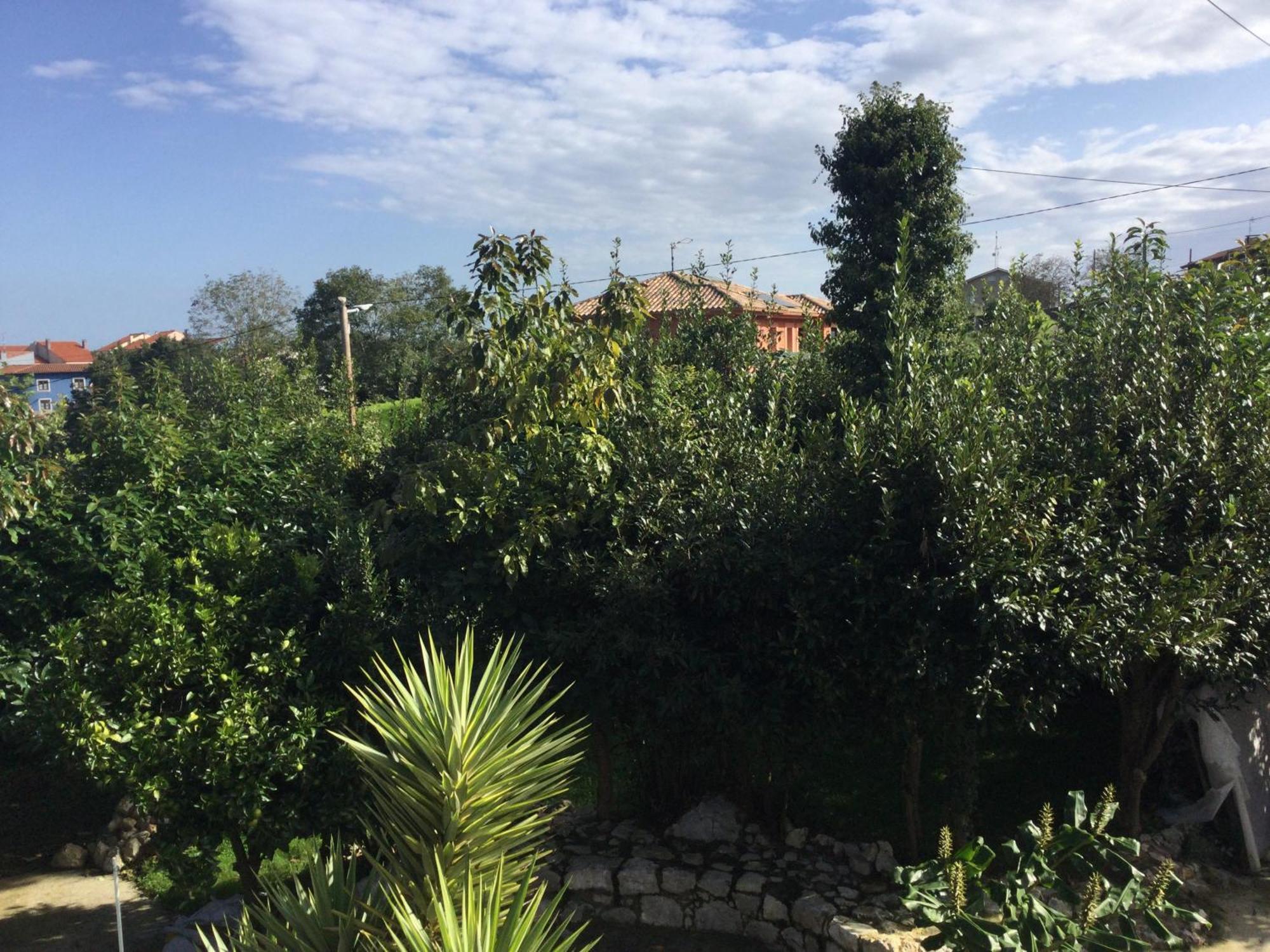 Вилла Casa Jardin Rocablanca Llanes Селорио Экстерьер фото